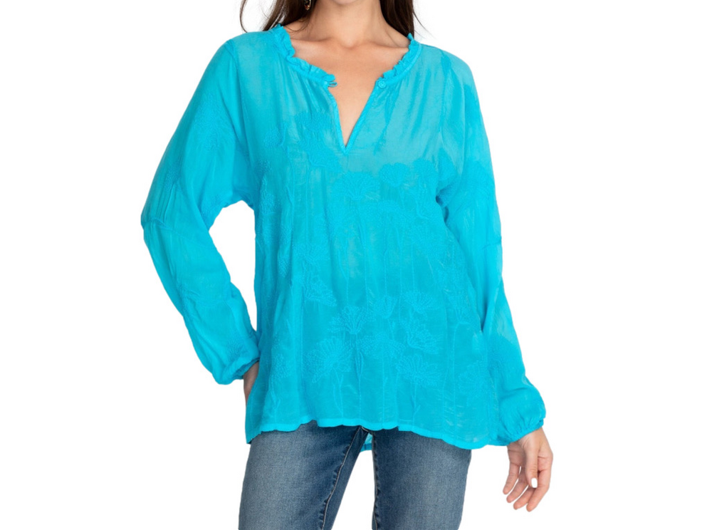 NWT Johnny Was Daisy Arianda Embroidered V-Neck Long Sleeve Blue Top Sz S